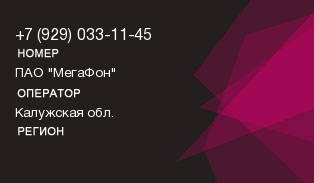 9290331145